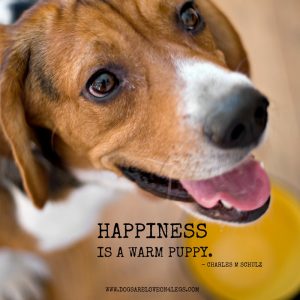 Dog Quote - Happiness Is A Warm Puppy