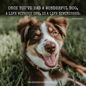 Dog Quote - Once You've Had A Wonderful Dog