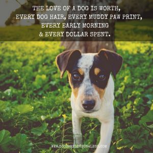 Dog Quote - The Love Of A Dog