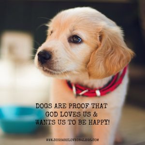 Dog Quote - Dogs Are Proof The God Loves Us